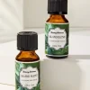 Island Blend Ceramic Pineapple Diffuser Oil Refill Set