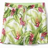 Men's Calypso Fronds 6-Inch Board Shorts