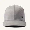 Monstera Fade Cap