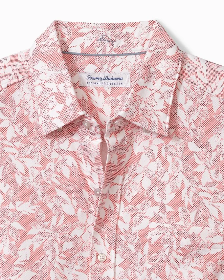 San Lucio Casa Vines Stretch Knit Shirt