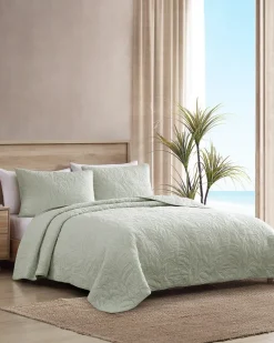 Solid Costa Sera 2-Piece Standard Quilted Sham Set